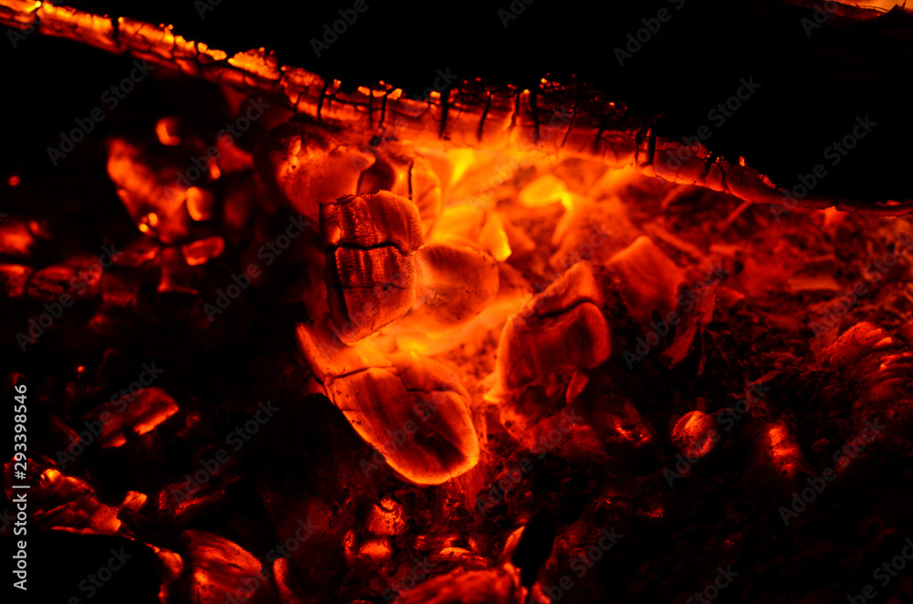 Tree transfigured by fire in luminous embers Tree transfigured by fire in luminous embers
