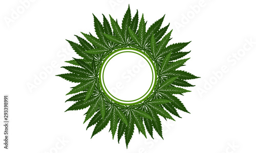 Cannabis vector green circle frame