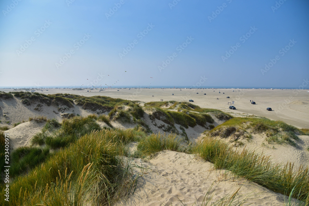 Denmark Romo island beach coast line Sand and green grass