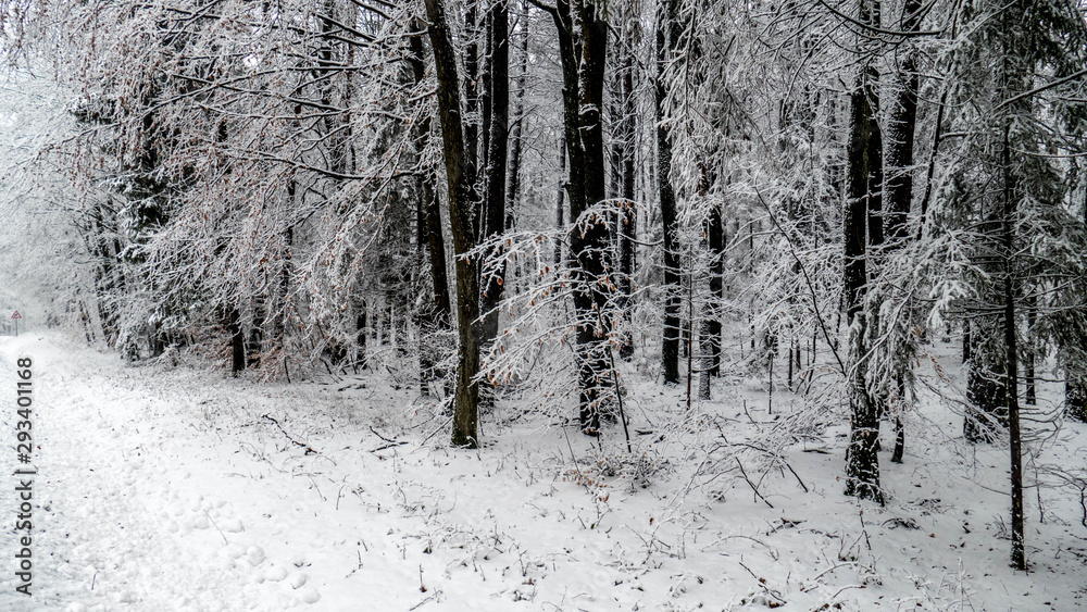 Beautiful snow landscape in Germany