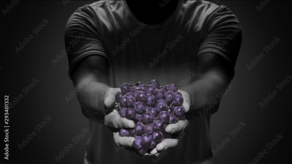 man hands holding bunch of red grapes black background sin city effect