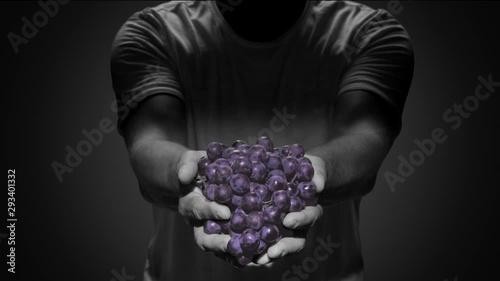 man hands holding bunch of red grapes black background sin city effect