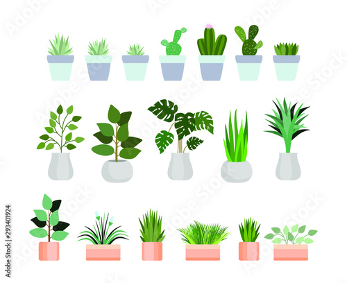 Set of decorative houseplants. Plants and nature homemade flowers in pot interior decoration in flat cartoon style. Vector illustration