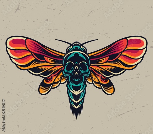 Vintage colorful flying death head moth