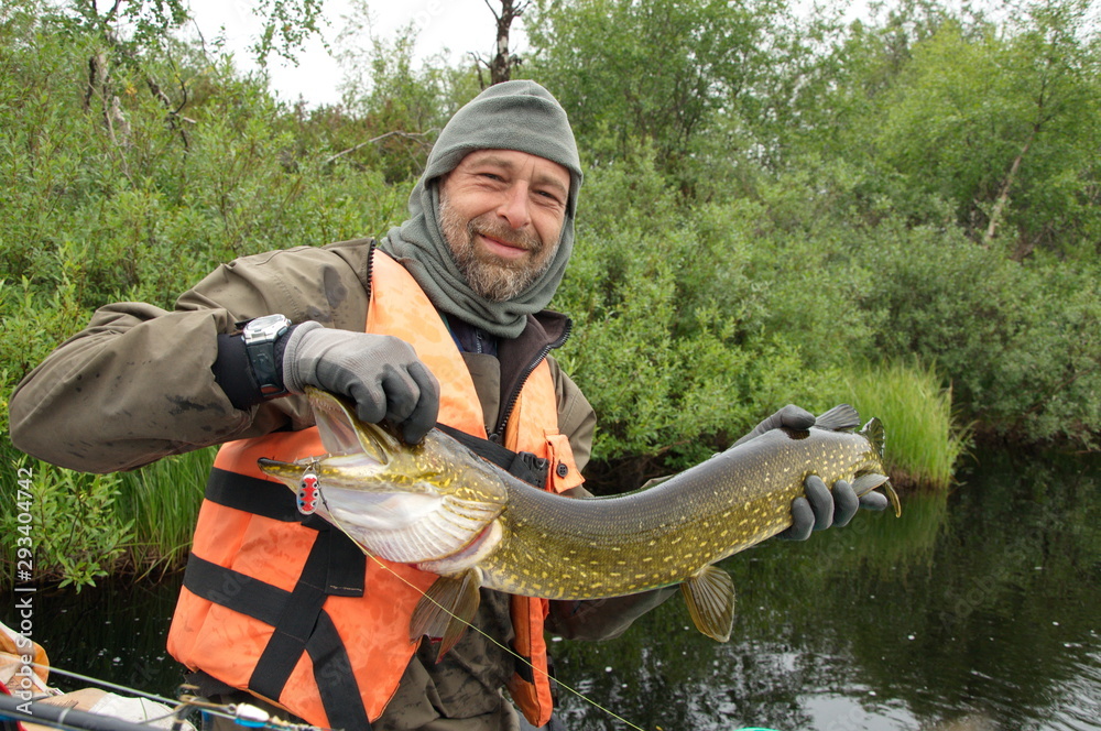 Fisherman caught a pike in the northern river. Fisherman caught a pike in the northern river.