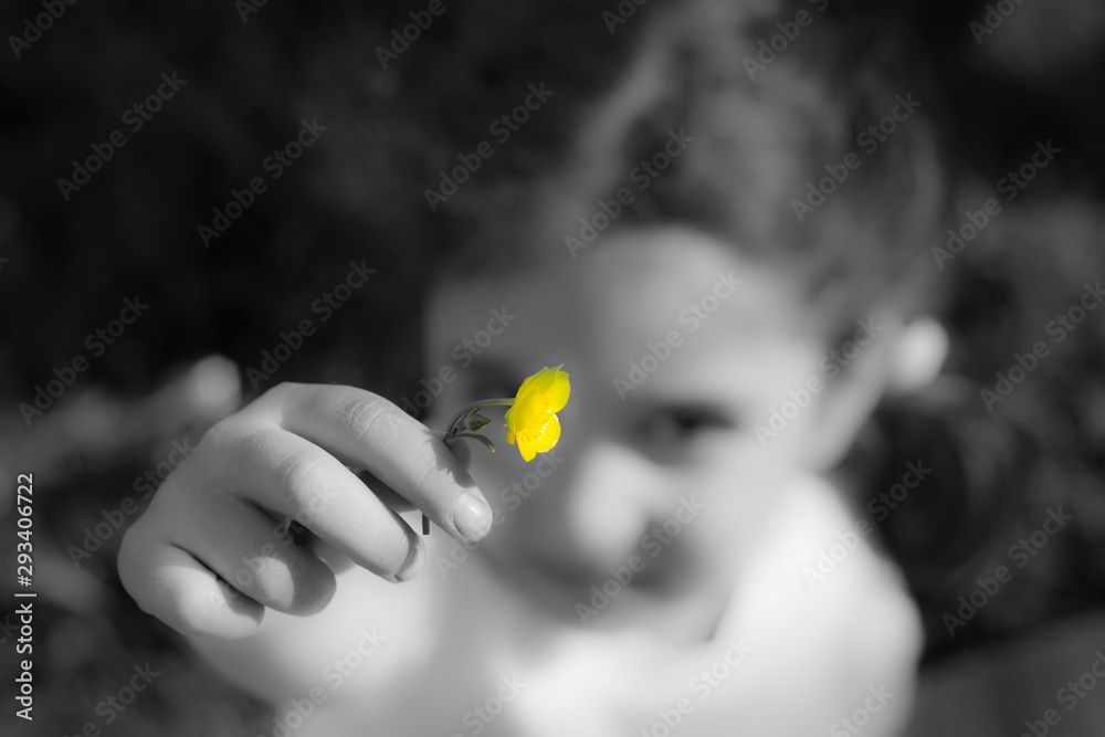 Portrait of a girl close-up. The girl is five years old. The girl is holding a flower. Portrait of a girl close-up. The girl is five years old. The girl is holding a flower.