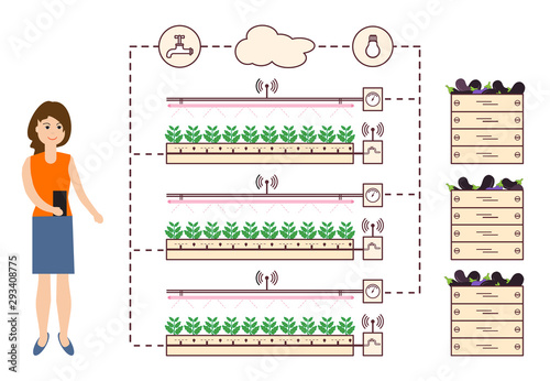 Woman controls the smart farm and agriculture.