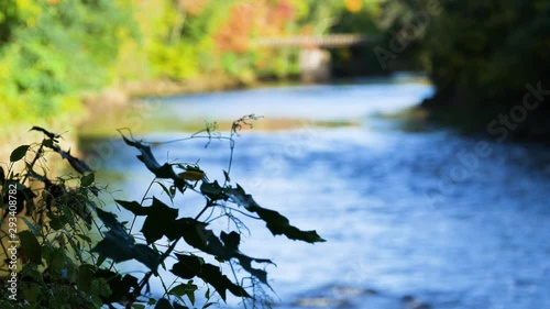 Video of the Kenduskeag River flowing in the background with riverbank foliage in the foreground in early autumn at Bangor Maine. photo