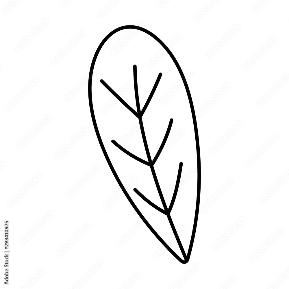 foliage botanical leaf icon line image foliage botanical leaf icon line image