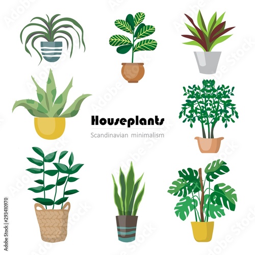 Collection of decorative houseplants isolated on white background. Bundle of trendy plants growing in pots or planters. Set of beautiful natural home decorations. Flat colorful vector illustration.