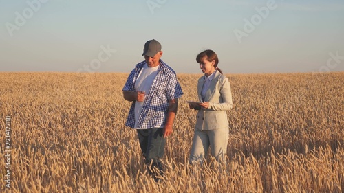 Business woman and agronomist checks the quality of grain in field. Harvesting cereals. farmer sells wheat grain to business woman. business woman with tablet and farmer teamwork in a wheat field. © zoteva87