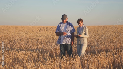 Business woman and agronomist checks the quality of grain in field. Harvesting cereals. farmer sells wheat grain to business woman. business woman with tablet and farmer teamwork in a wheat field.