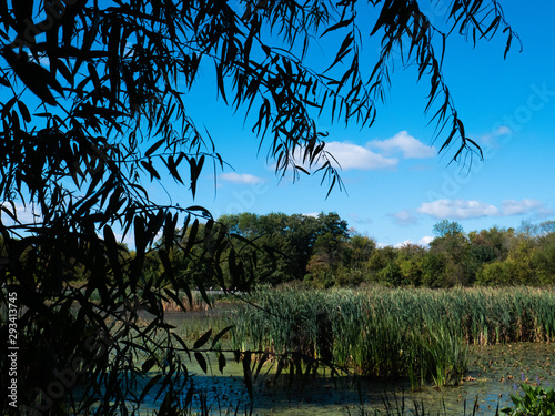 Heinz National Wildlife Preserve overlooking marsh - Philadelphia, PA / USA - September 29, 2019