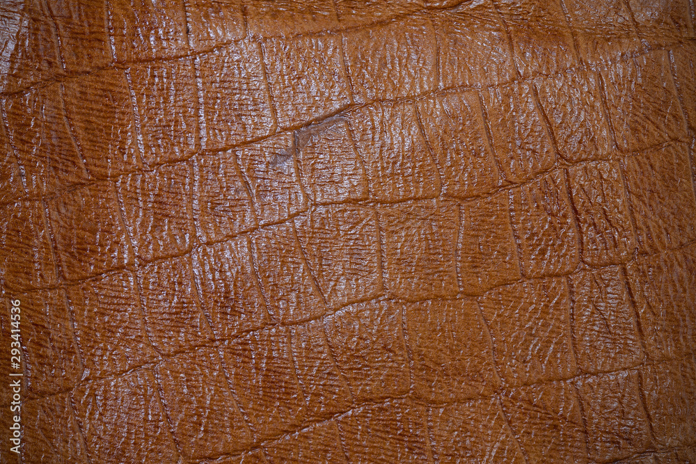 Fototapeta premium crocodile skin imitation