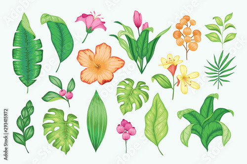 Beautiful vintage hand drawn floral vector collection