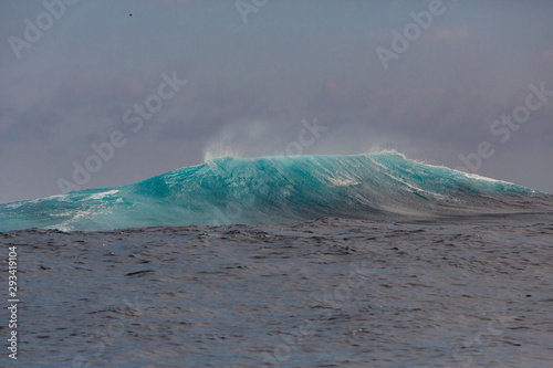 Darvin isla and Darvin Arch, Galapagos photo