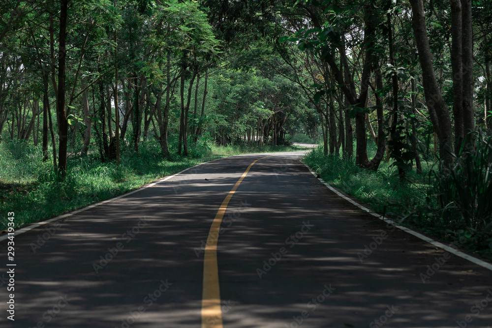 Nice road  beautiful road road with spot sunrise.