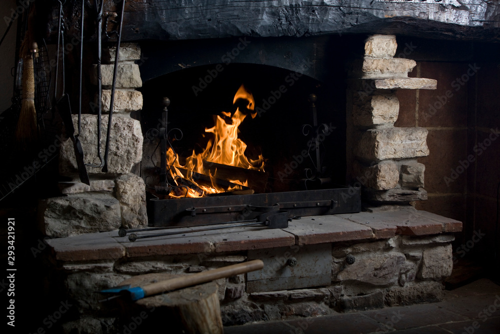 Obraz premium The burning fire in the fireplace warms the whole environment.