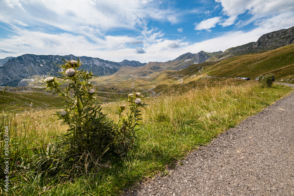Summer mountain Durmitor National Park, Montenegro. Durmitor panoramic road, Sedlo pass.