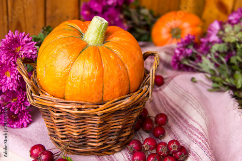  Autumn background with pumpkins in basket, berries and flowers on wooden background, copy space. Happy Thanksgiving Day Background. Halloween pumpkin. Autumn Harvest Festival. Still life with pumpkin