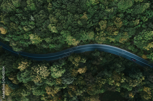 Aerial view of road and forest. © belyaaa