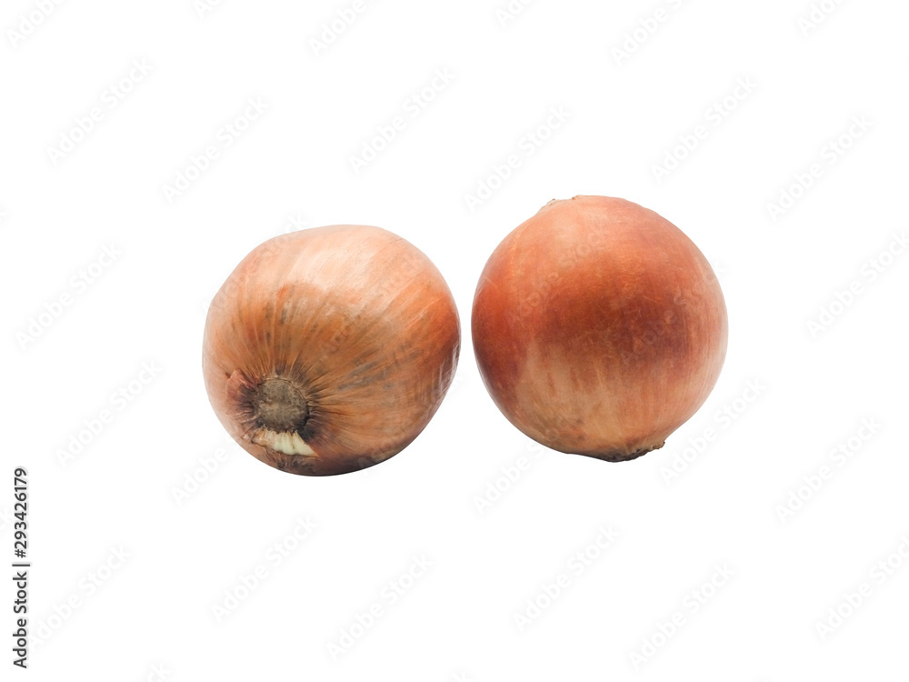onion isolated on white background. Clipping Path onion isolated on white background. Clipping Path