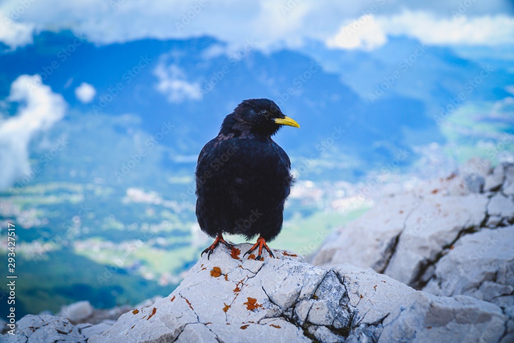 Fototapeta premium Berge, Alpen, Klettern, Österreich, Landschaft, Natur, Naturschutz, Draußen, Gipfel