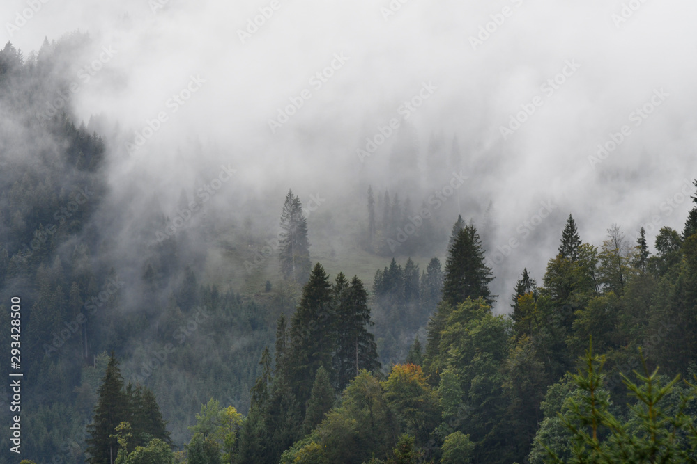 nebel im kleinwalsertal