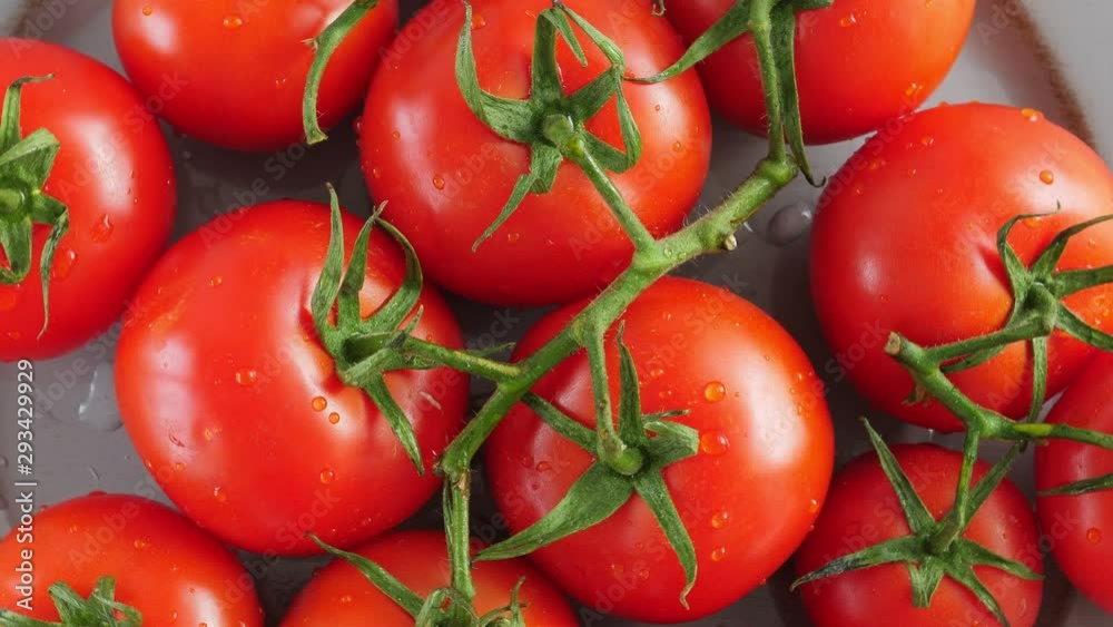 Red tomatoes with green branch on plate, rotate Red tomatoes with green branch on plate, rotate