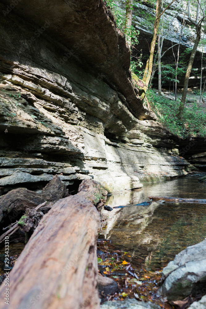 Fototapeta premium Boulders on Nature Trail in Woods