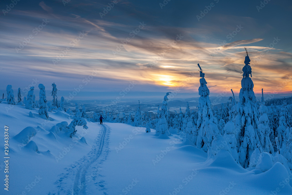 Winter sunset landscape. - obrazy, fototapety, plakaty 