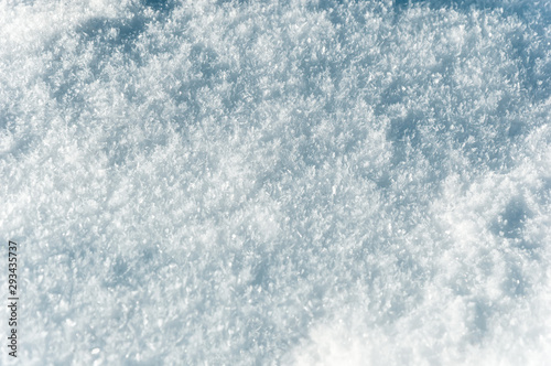 Winter background: fluffy snow surface close-up with visible snowflakes. Christmas and Happy New Year background with snow texture