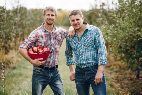 Tableau sur toile Two guys plucking apples in the garden