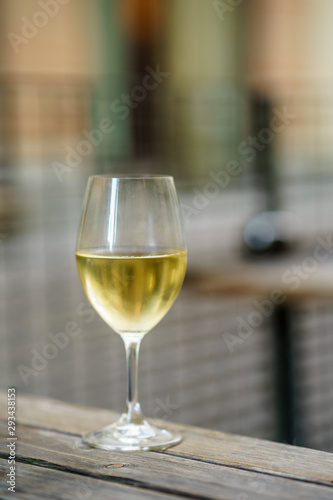 A glass of white vine on garden