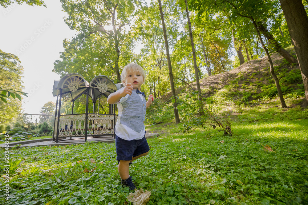 Happy little boy on a green lawn in a park.