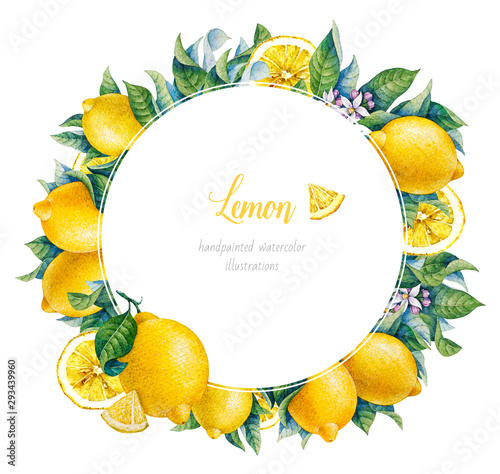 Botanical lemon. Watercolor. Citrus fruit