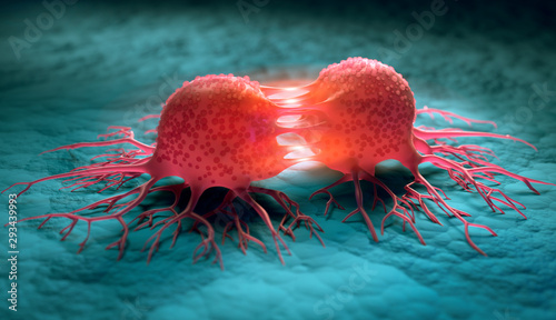 Dividing cancer cells - 3D illustration photo