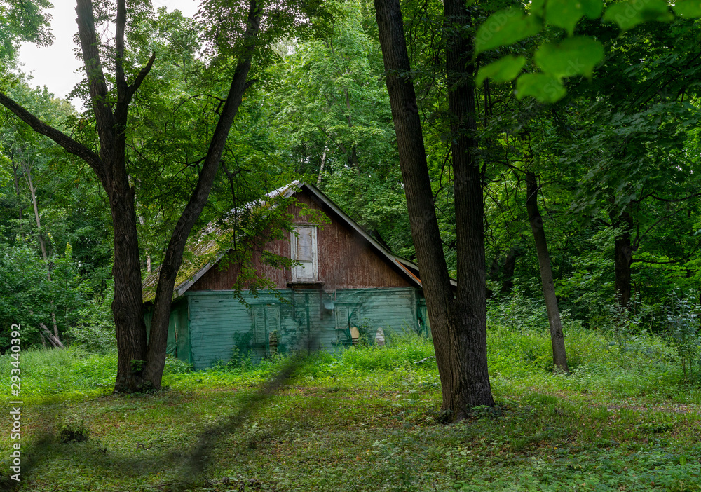 old house in the forest old house in the forest