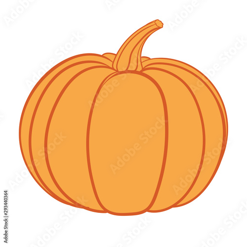 Orange pumpkin vector illustration. Autumn halloween pumpkin, vegetable graphic icon or print, isolated on white background
