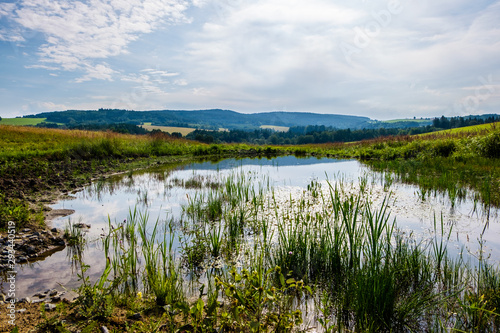 Restoration of creek in Novohradske hory  Czech republic. Water and nature. Pool. Conservation of the nature.