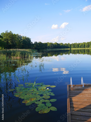 Fototapeta Naklejka Na Ścianę i Meble -  lake in the forest Masuria