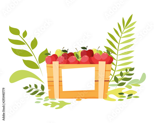Isolated apples fruit box vector design