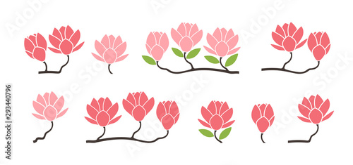 Magnolia logo. Isolated magnolia on white background