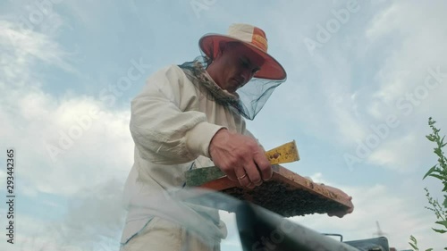 The beekeeper looks after bees, honeycombs, a lot of honey, in a protective beekeeper's beast. A beekeeper stands against the backdrop of nature and sky. Concept farmer, organics.