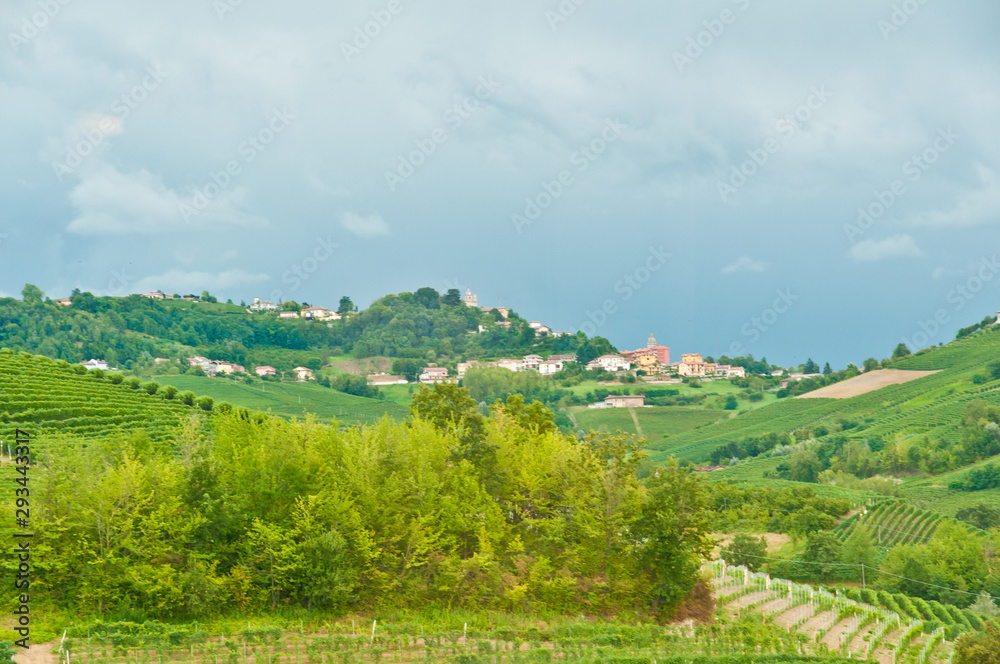 Obraz premium Front view, medium distance of a small village surrounded by old Dolcetto wine grapes and vines, in the hills of the Piedmont wine region of Italy. 