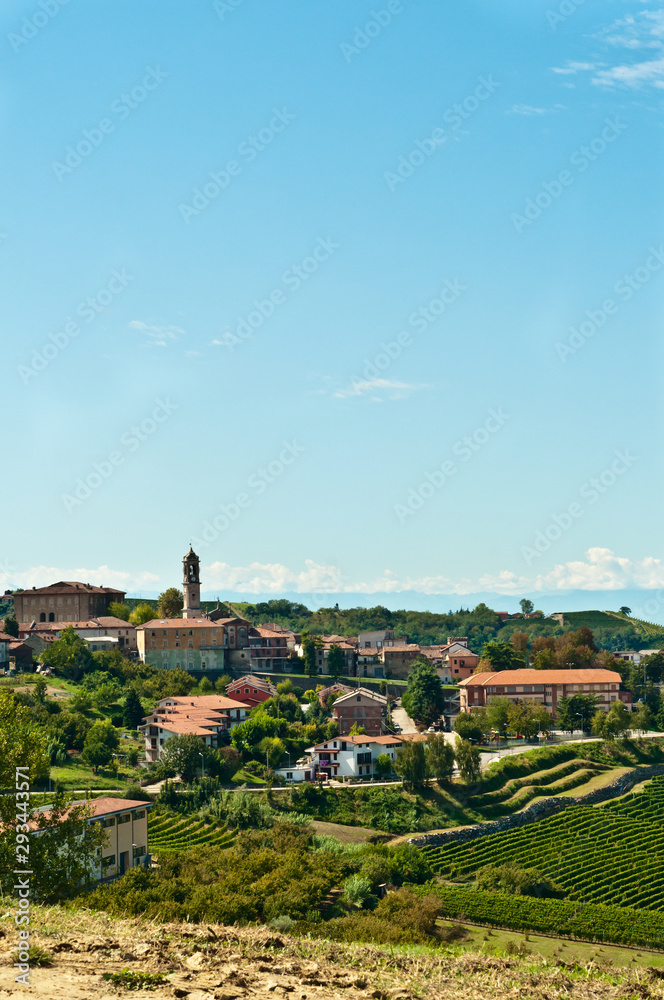 Front view, medium distance of a small village, outside of Alba, with rows of Dolcetto grape vines, ready to be harvested in the cool, autumn season, Piedmont wine region, Italy