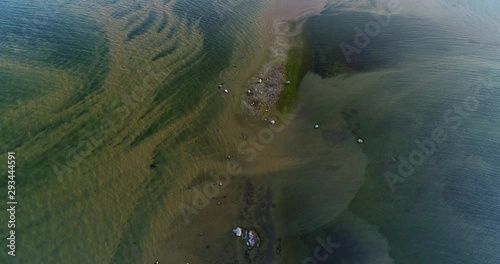 Cyanobacteria Blooms, Baltic Sea