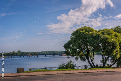 Landscape with lake shore in summer time. Tree and road..