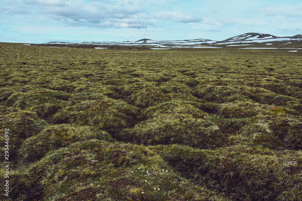 Leirhnjukur lava field covered with moss, overcast day in summer , film effect with grain Leirhnjukur lava field covered with moss, overcast day in summer , film effect with grain