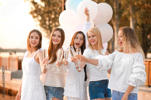 Beautiful young women drink...